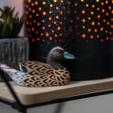 Apartmán Haus Der Geschenke - Carinthia *